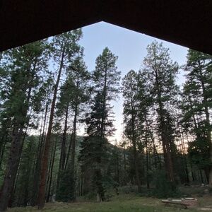 Meet your Posher, Inbal